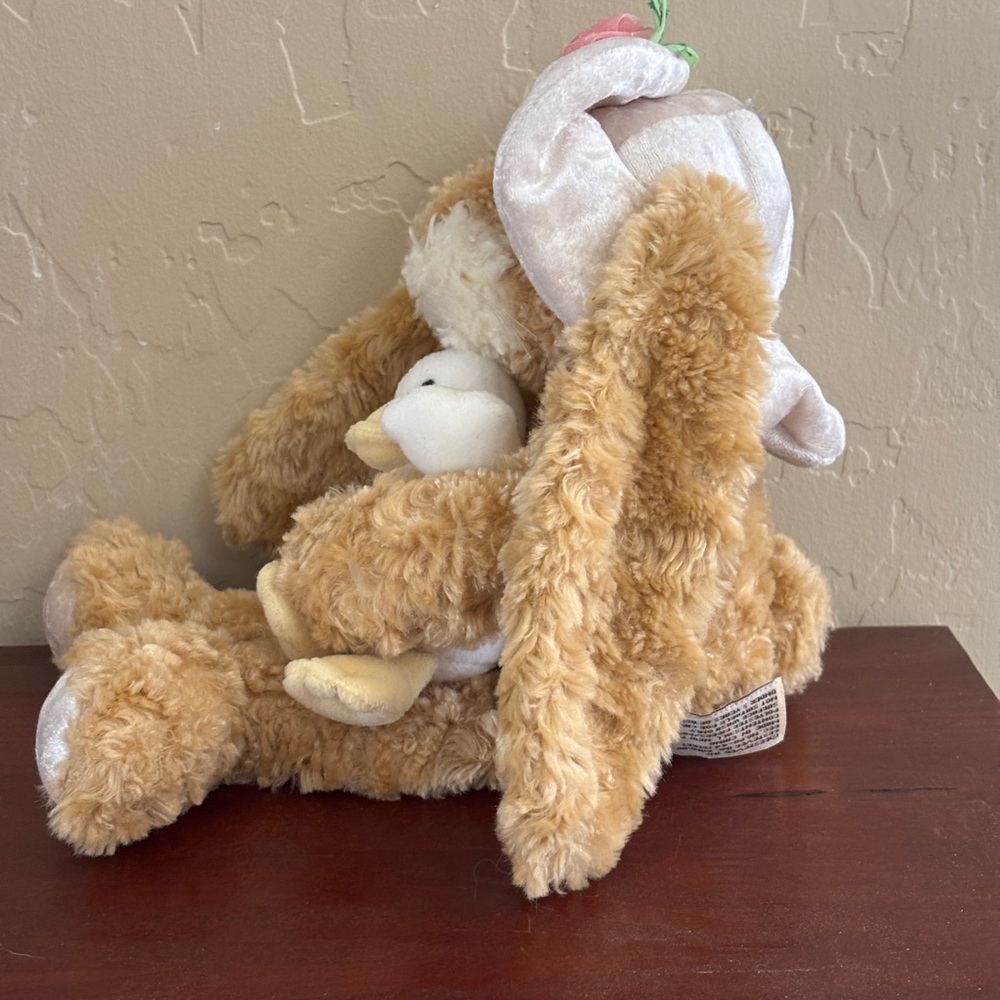 Bunny Rabbit W/ Hat Brown Holding Duck Stuffed Animal Plush Toy Bestever 13” - Picture 3 of 6